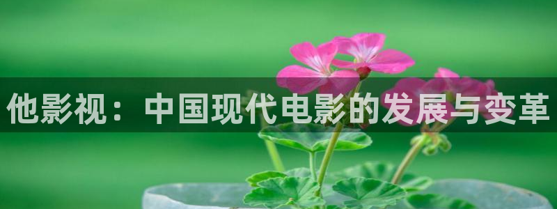 天狼影院黄色片